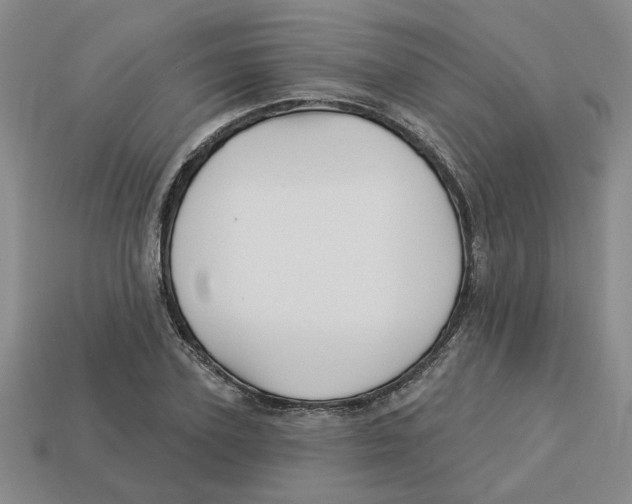 X0000113020931200909241632