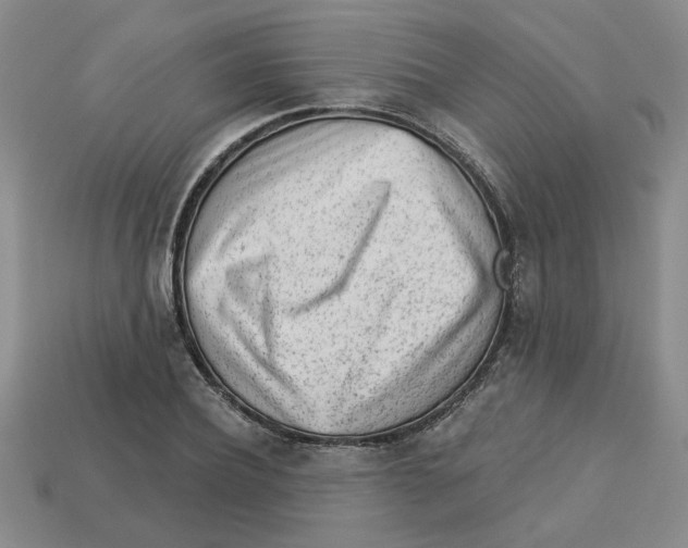 X0000113020932200909241632