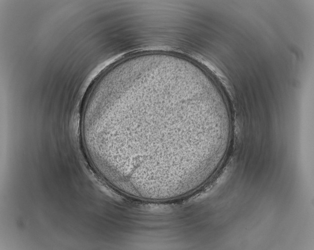 X0000113020933200909241632