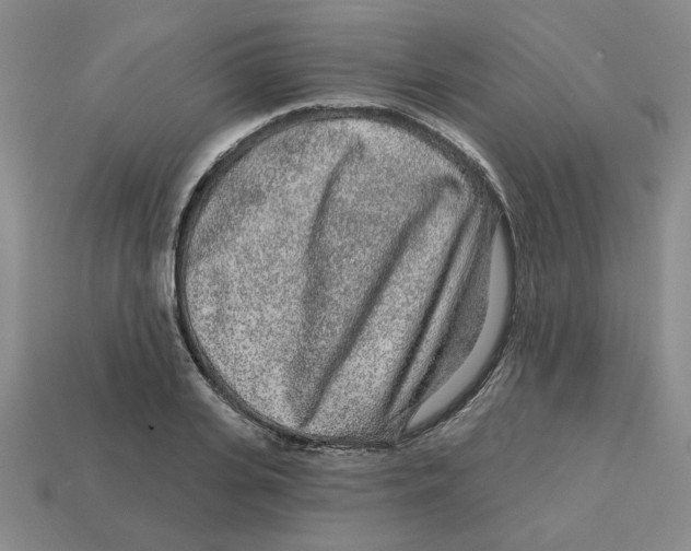 X0000113020935200909241632