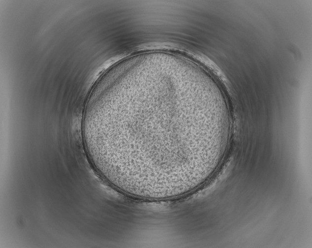 X0000113020937200909241632