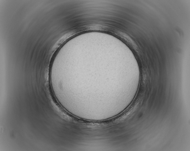 X0000113020938200909241632