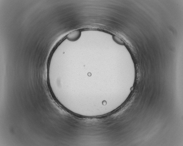 X0000113020940200909241632