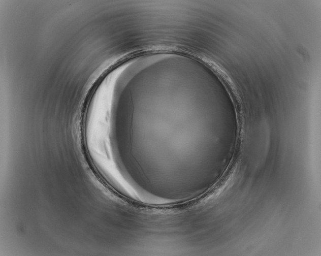 X0000113020941200909241632