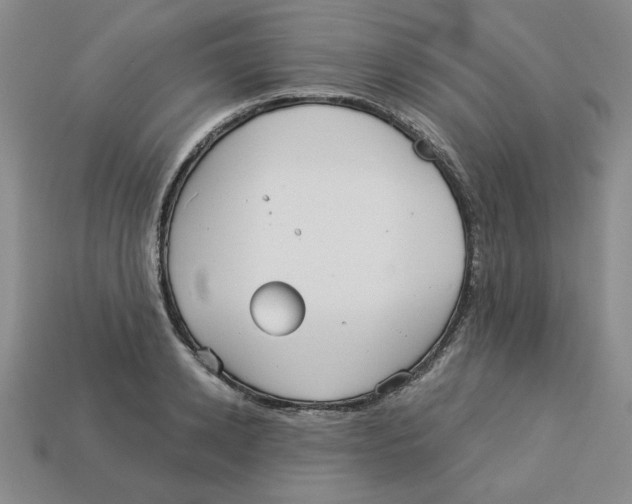 X0000113020942200909241632