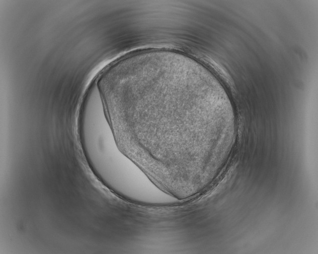 X0000113020944200909241632