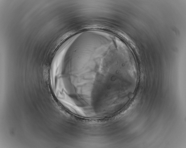 X0000113020945200909241632