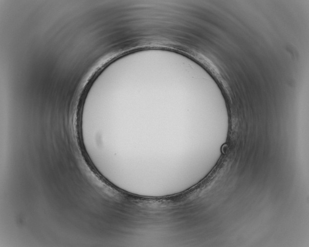 X0000113020947200909241632