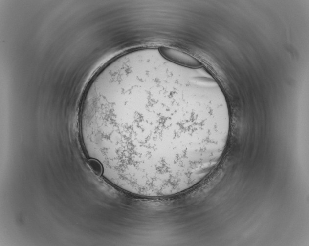 X0000113020948200909241632