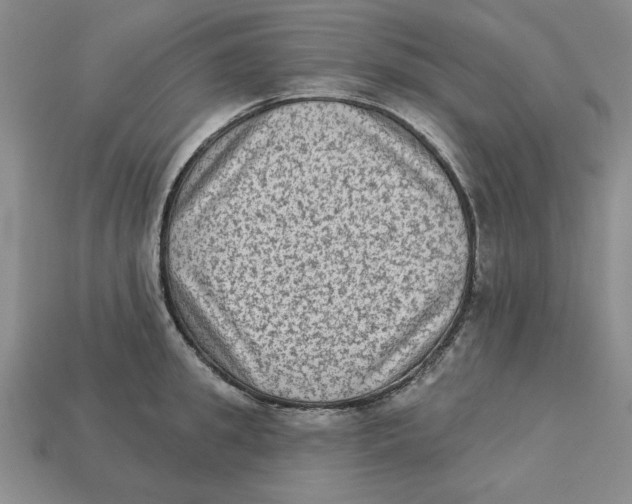 X0000113020949200909241632