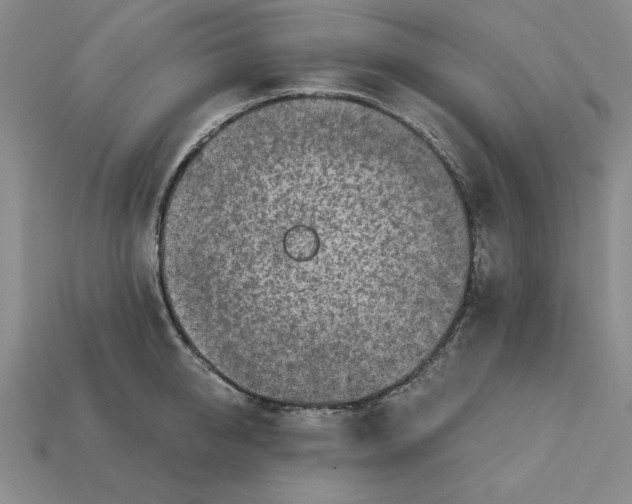 X0000113020950200909241632