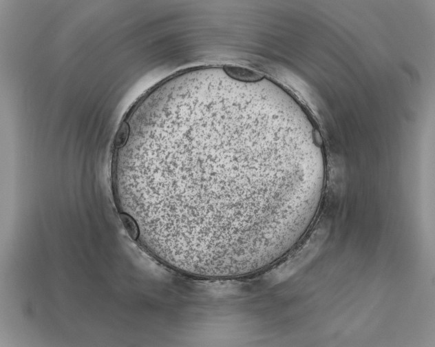 X0000113020952200909241632