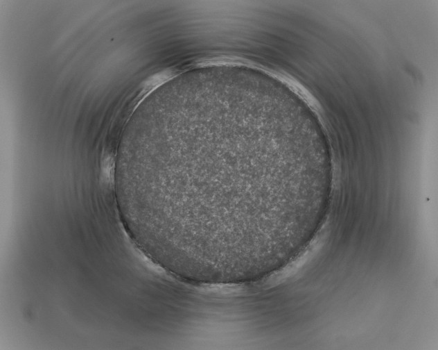 X0000113020953200909241632