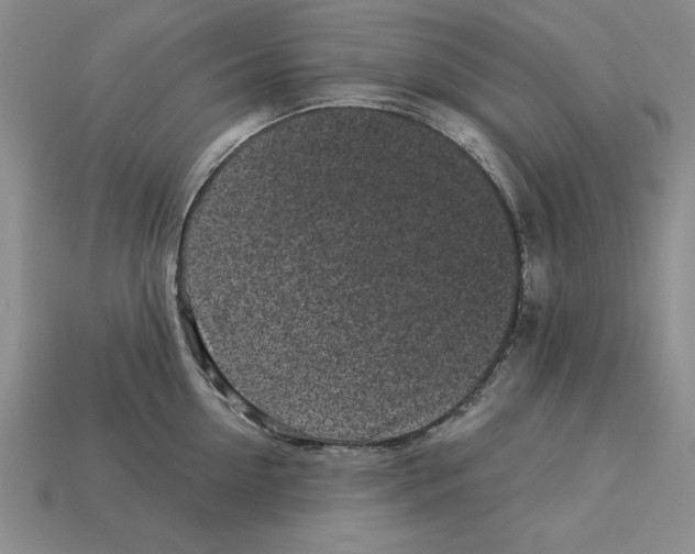 X0000113020954200909241632