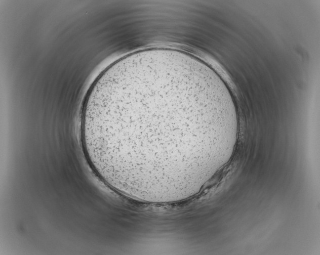 X0000113020955200909241632