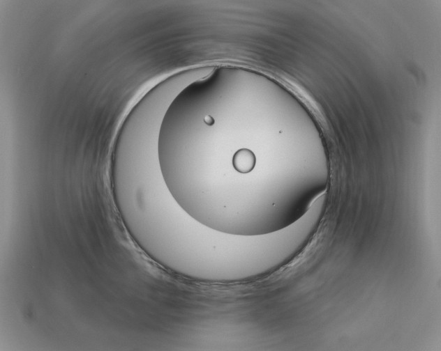 X0000113020956200909241632