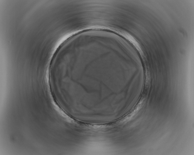 X0000113020958200909241632