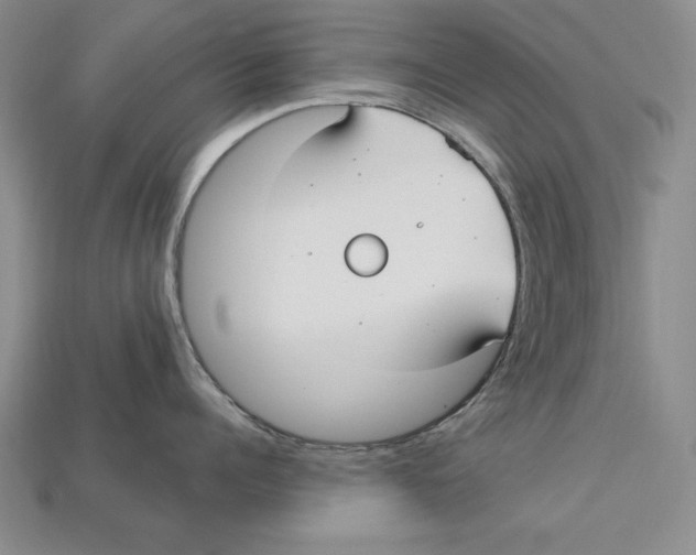 X0000113020960200909241632