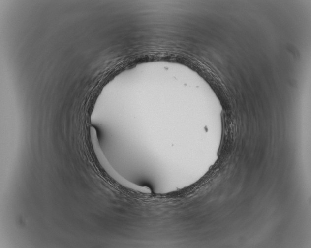 X0000113020961200909241631