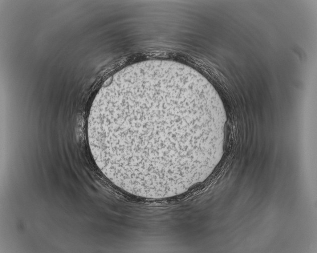 X0000113020964200909241631