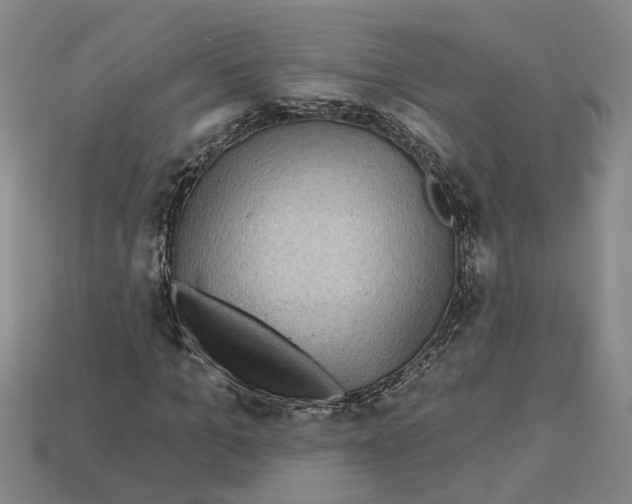 X0000113020965200909241631