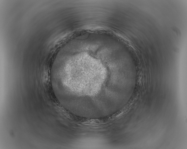 X0000113020966200909241631