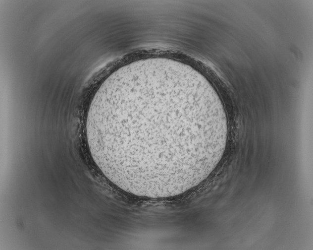 X0000113020967200909241631