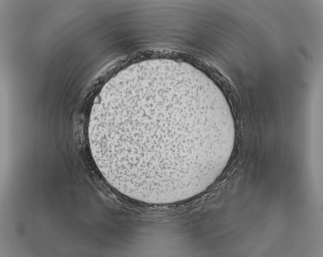 X0000113020968200909241631