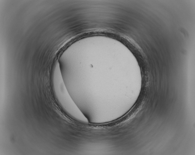 X0000113020969200909241631