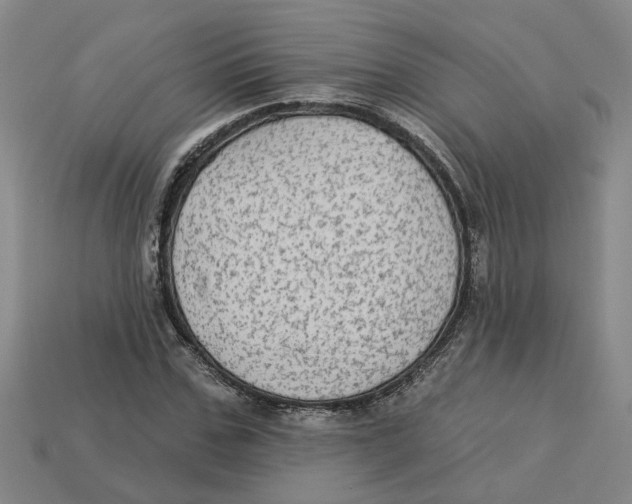 X0000113020971200909241631