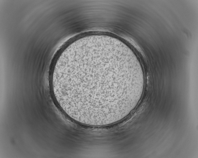 X0000113020972200909241631