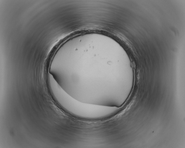 X0000113020973200909241631