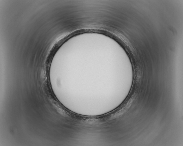 X0000113020974200909241631