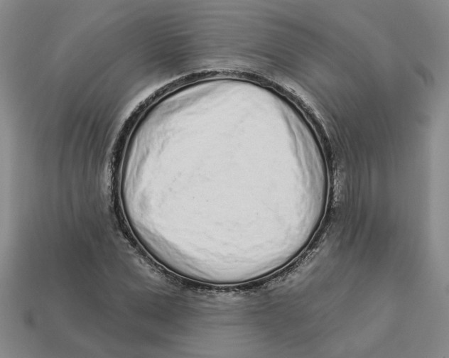 X0000113020975200909241631