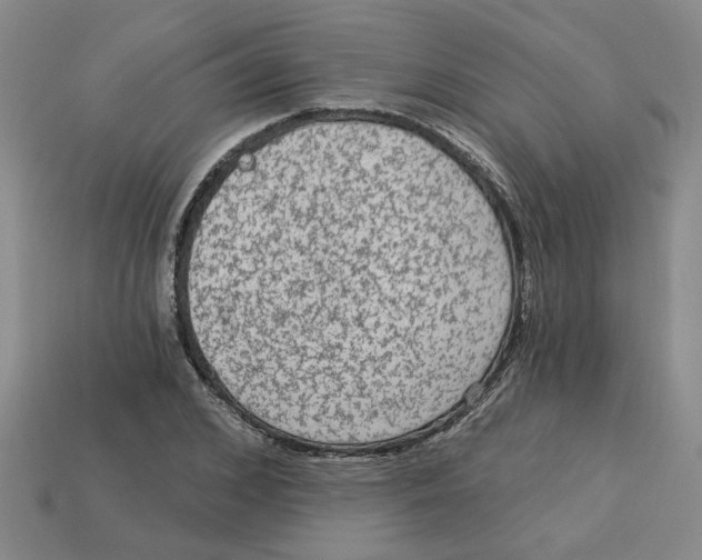 X0000113020976200909241631