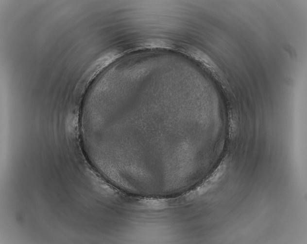 X0000113020977200909241631