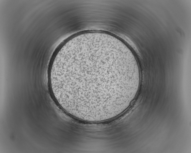 X0000113020980200909241631