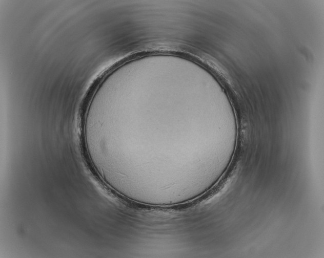 X0000113020981200909241631