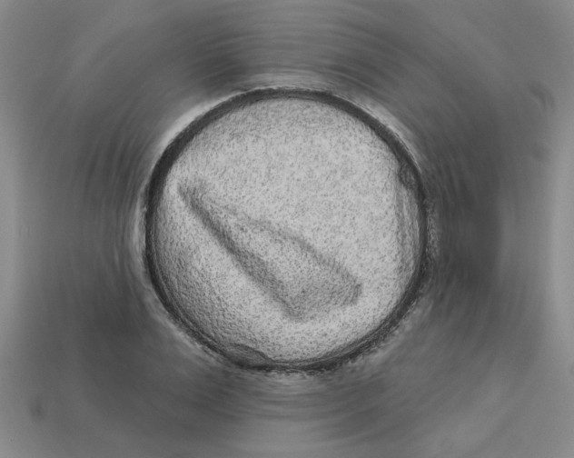 X0000113020983200909241631