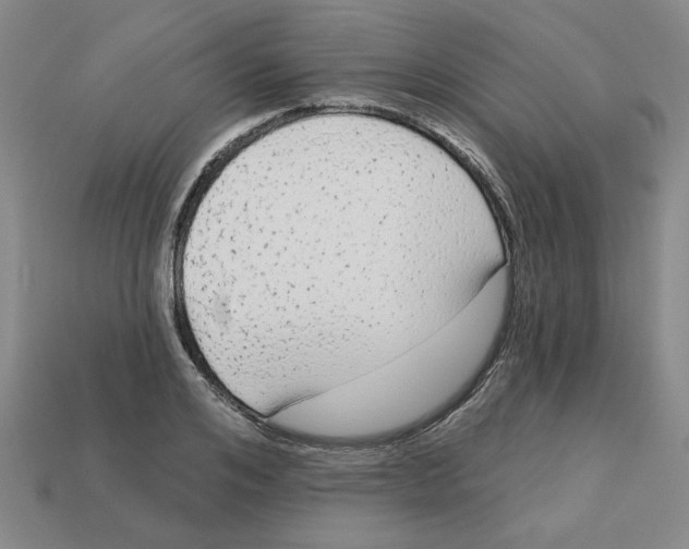 X0000113020984200909241631