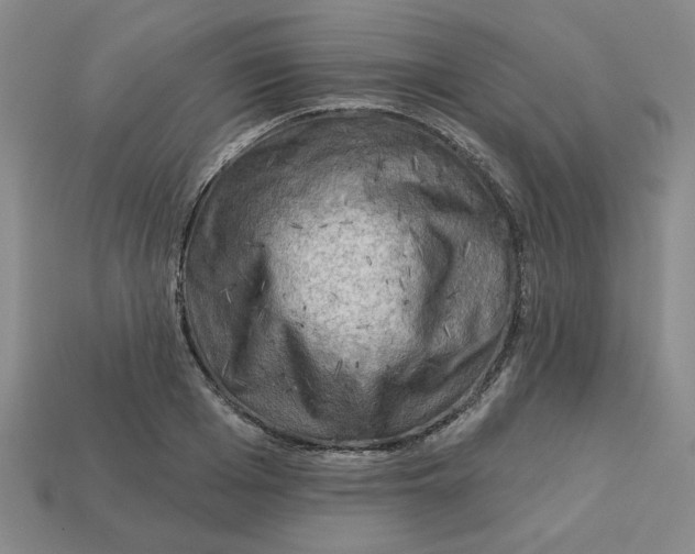 X0000113020985200909241631