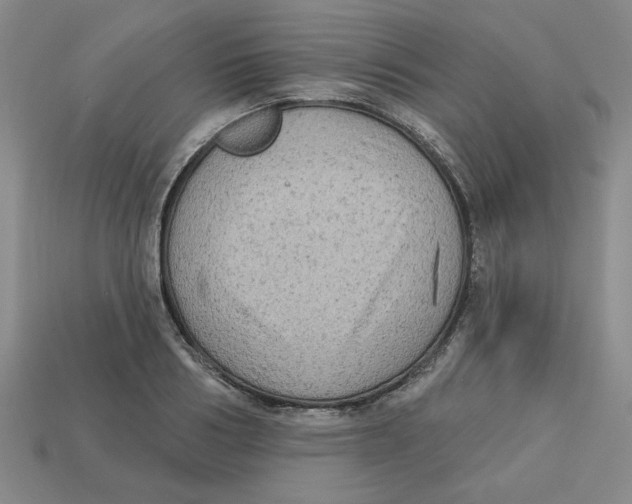 X0000113020986200909241631