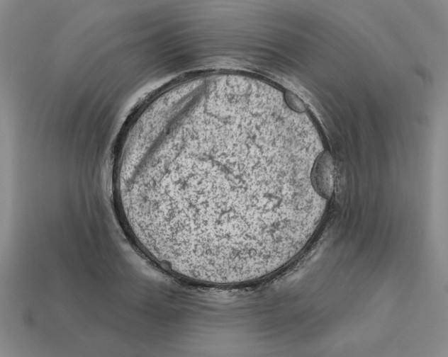 X0000113020987200909241631