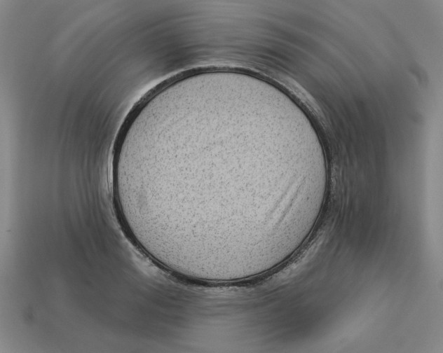 X0000113020988200909241631