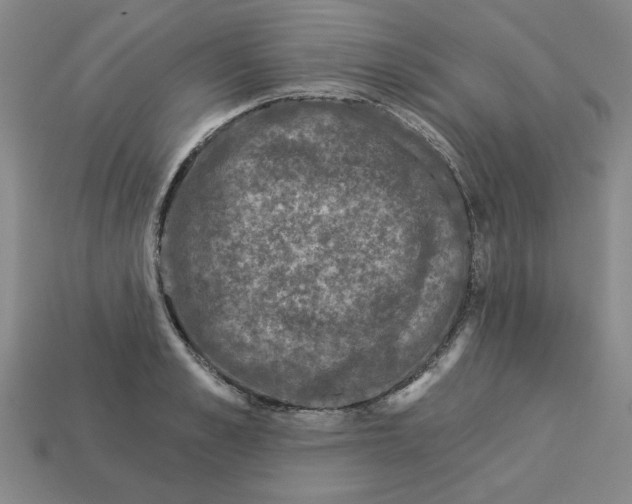 X0000113020989200909241631