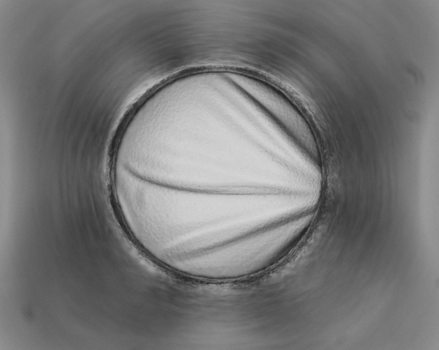 X0000113020990200909241631