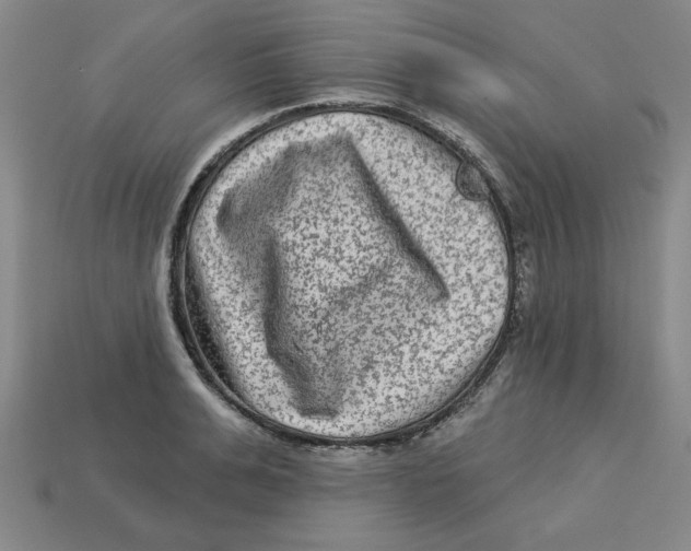 X0000113020991200909241631