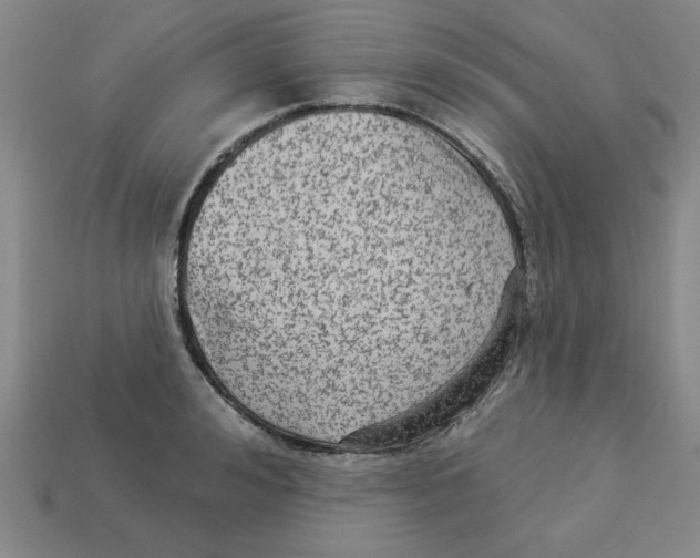 X0000113020992200909241631