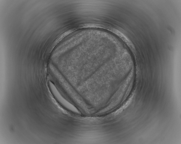 X0000113020993200909241631