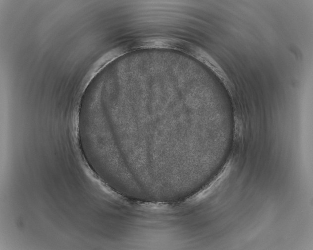 X0000113020994200909241631